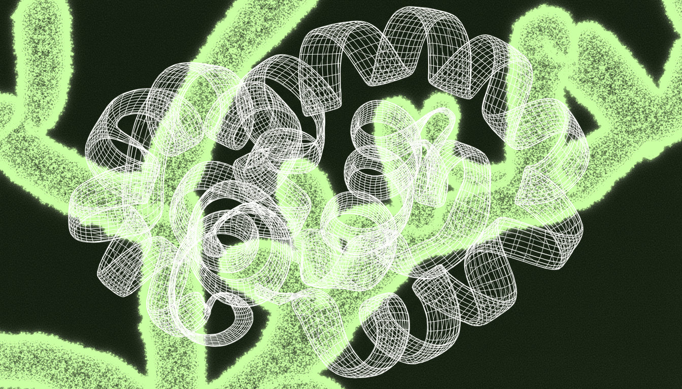 Telomere shelterin protein complexes with G-quadruplex secondary structures on chromosome ends, transmission electron micrograph, monochrome relief