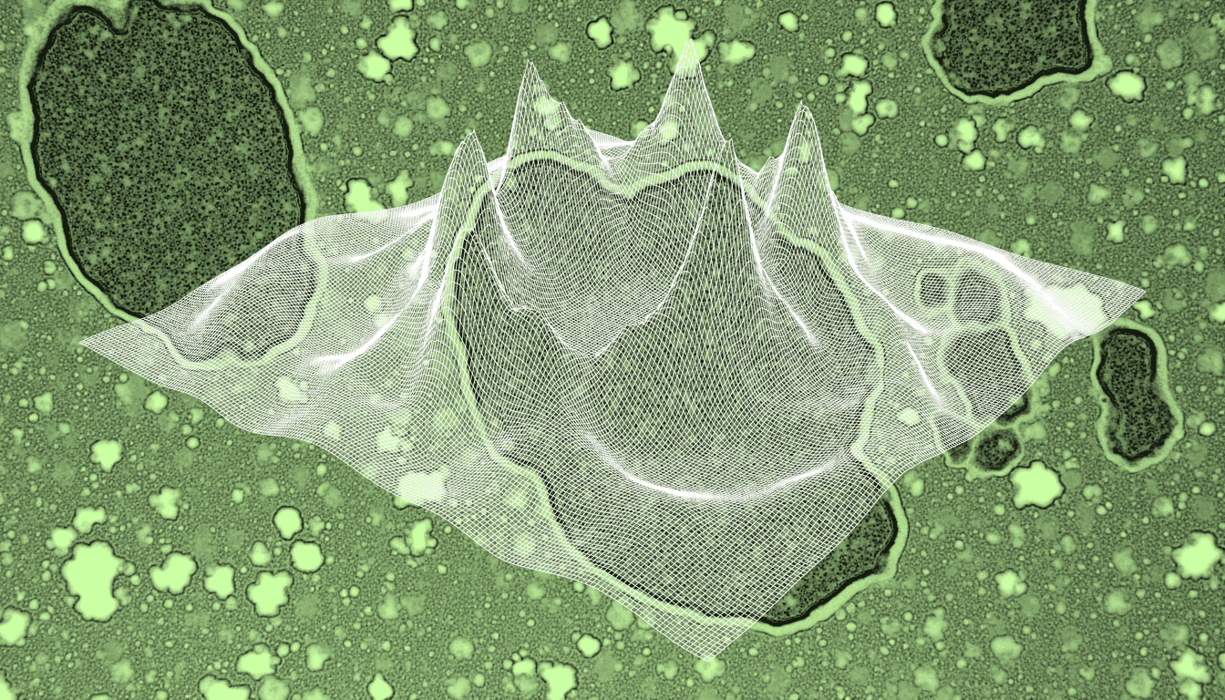 Pancreatic beta cells and hepatocytes during postprandial glucose metabolism, phase-contrast illumination, single-hue amber stain, mitochondrial cristae detail