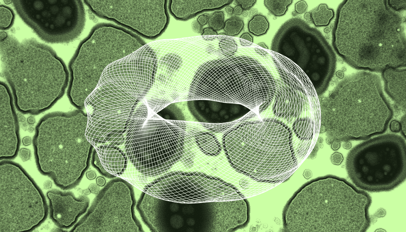 Enterochromaffin cells with serotonin-filled dense-core granules undergoing oxidative stress, telomere shortening visible as chromatin condensation, single-hue amber transmission electron micrograph