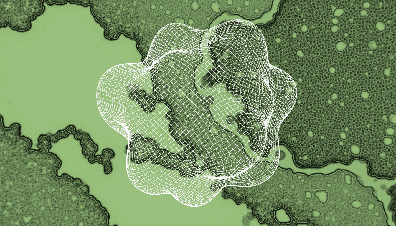 Primary cilium with depleted cholesterol-rich membrane domain, adjacent nucleus showing altered histone acetylation at enhancer regions, aged hepatocyte tissue context