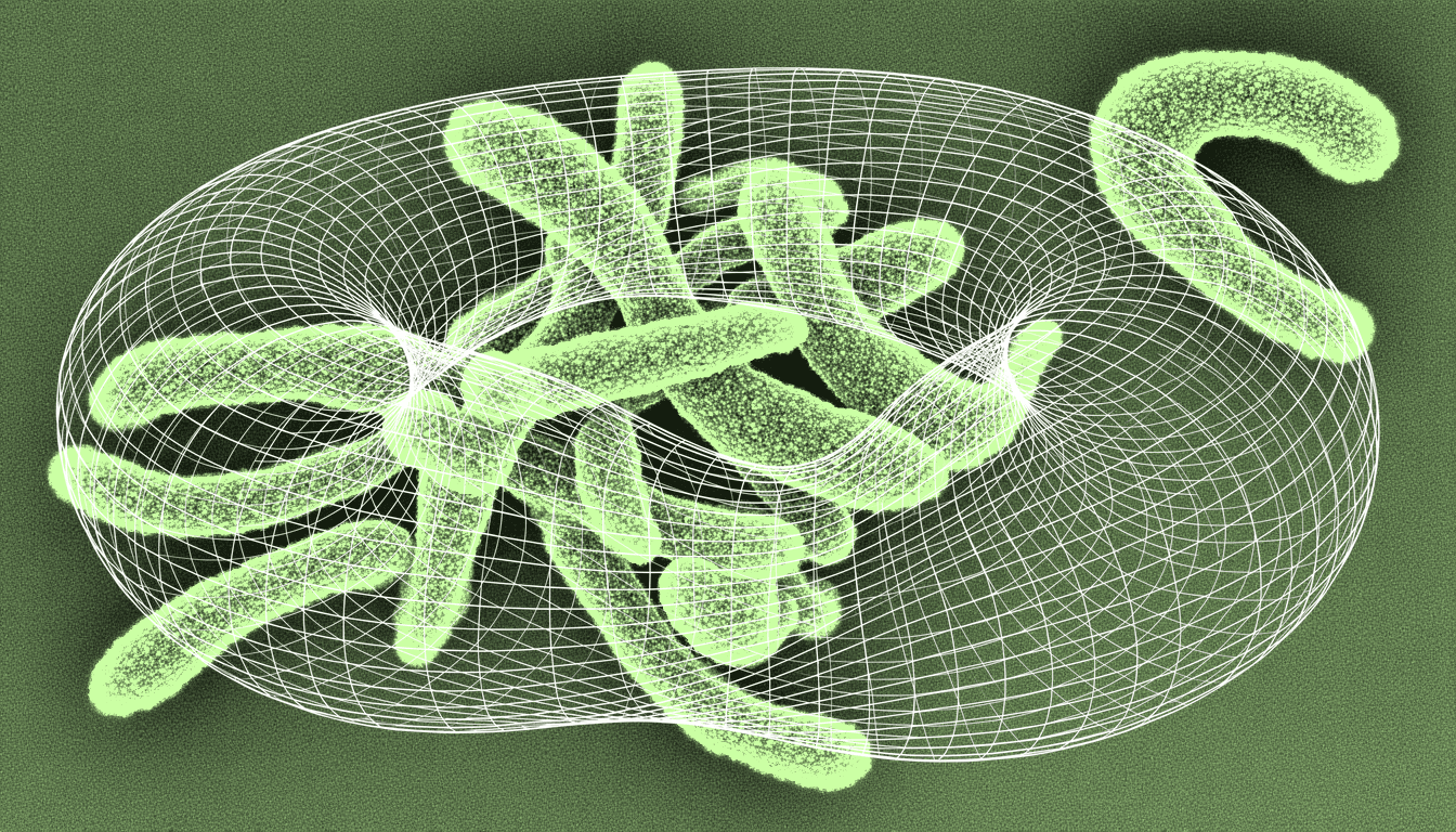 intestinal microbiome butyrate-producing bacteria, single-hue blue transmission electron micrograph