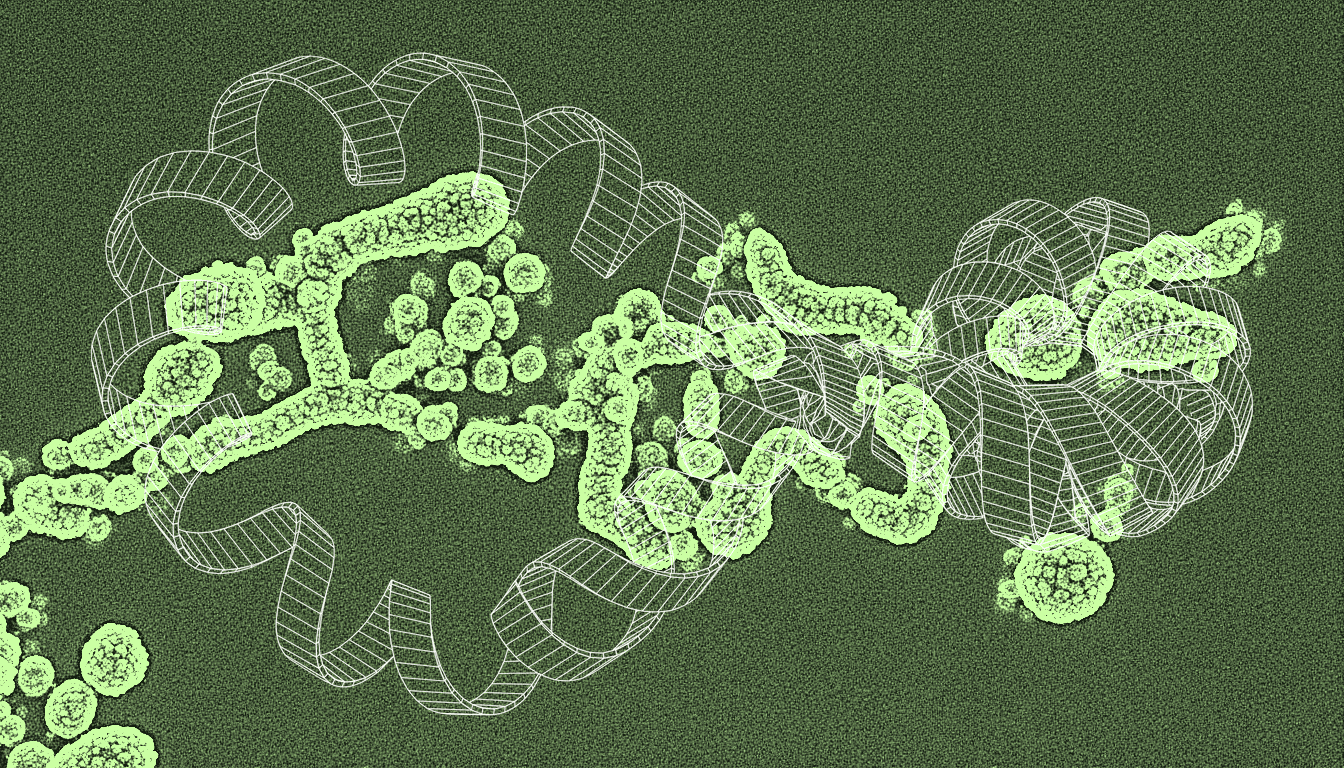 transmission electron micrograph of SIRT6 protein complex near chromatin, deep indigo stain, molecular-scale resolution