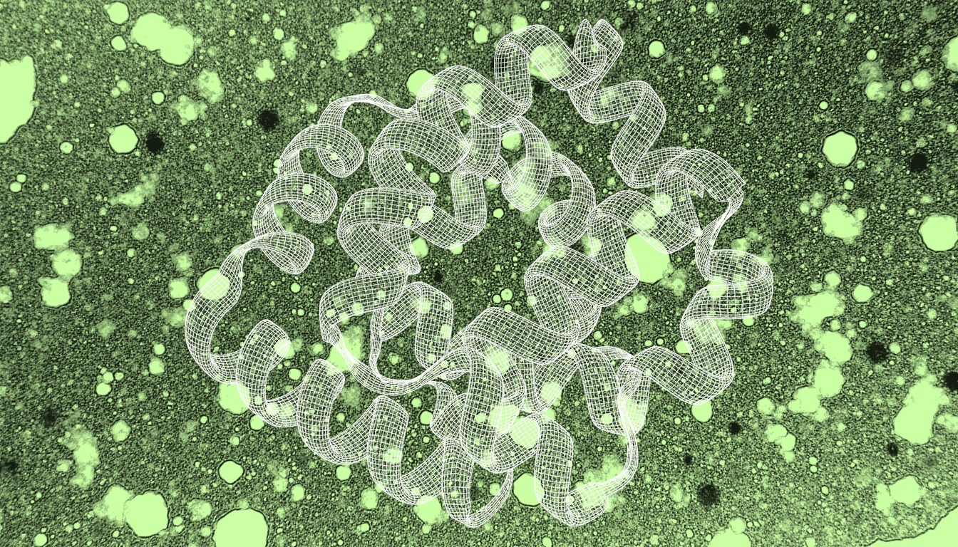 Mitochondrial cristae with accumulated DNA methylation marks in aged tissue, monochrome amber transmitted illumination, high magnification detail