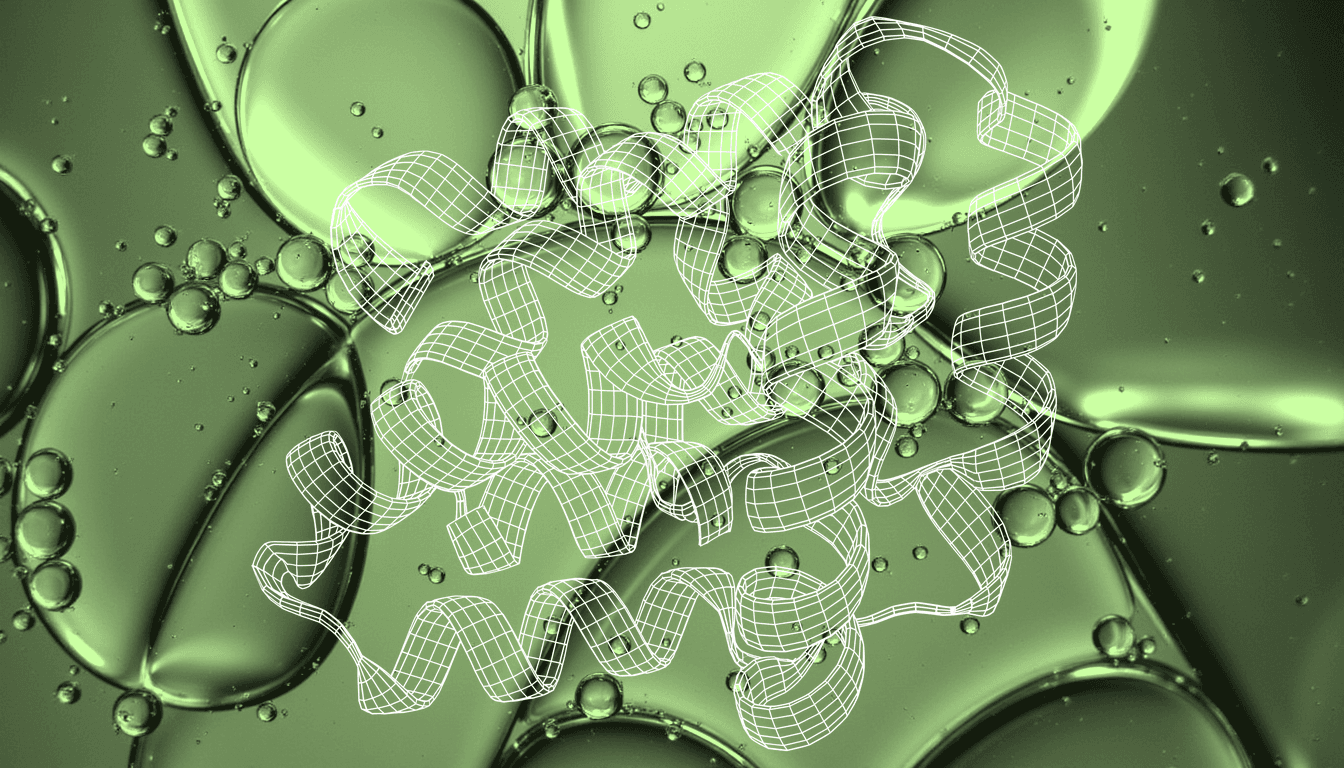 Translucent phenolic molecular structures with hydrophobic rings interacting with fluid lipid bilayer membranes, soft backlit droplets and bubble interfaces showing differential membrane penetration
