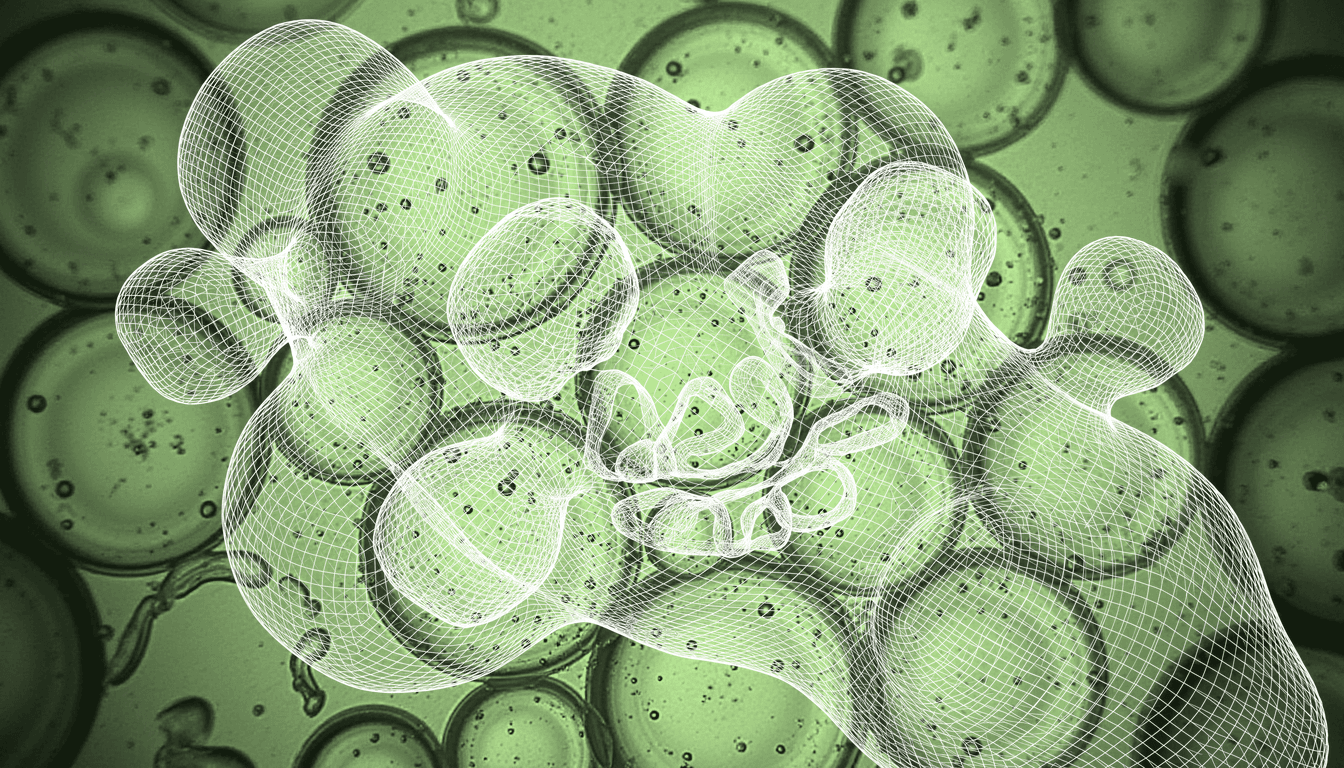 succinate-laden mitochondrial vesicles with translucent membrane, microscopic fluid droplets, soft backlight, shallow depth of field