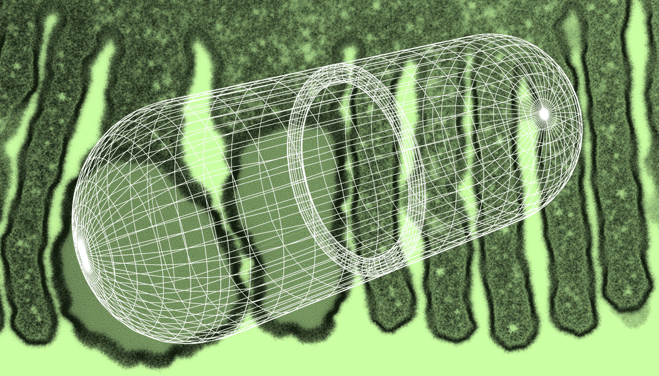 engineered tissue scaffold with aligned collagen fibers, monochrome transmitted light, cellular infiltration zones