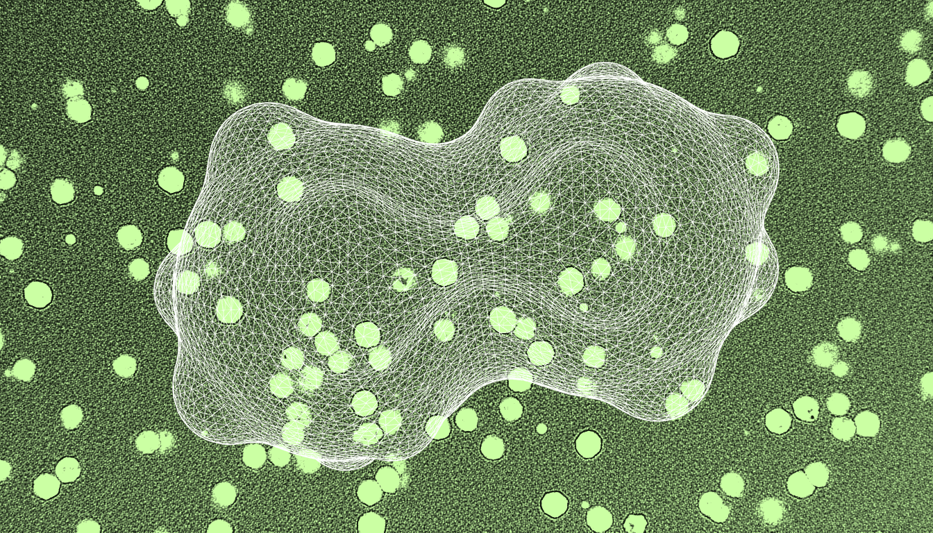 senescent cell PKM2 dimers, monochrome amber transmission electron micrograph, nuclear translocation detail