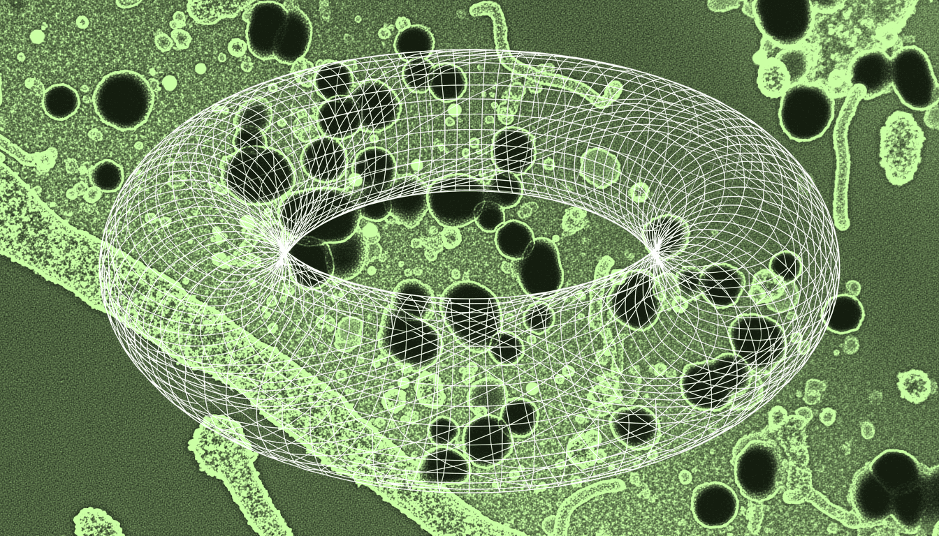mitochondrial ROS-activated autophagy cargo sequestration in fasting hepatocytes, single-hue amber transmission electron micrograph, damaged organelles and protein aggregates