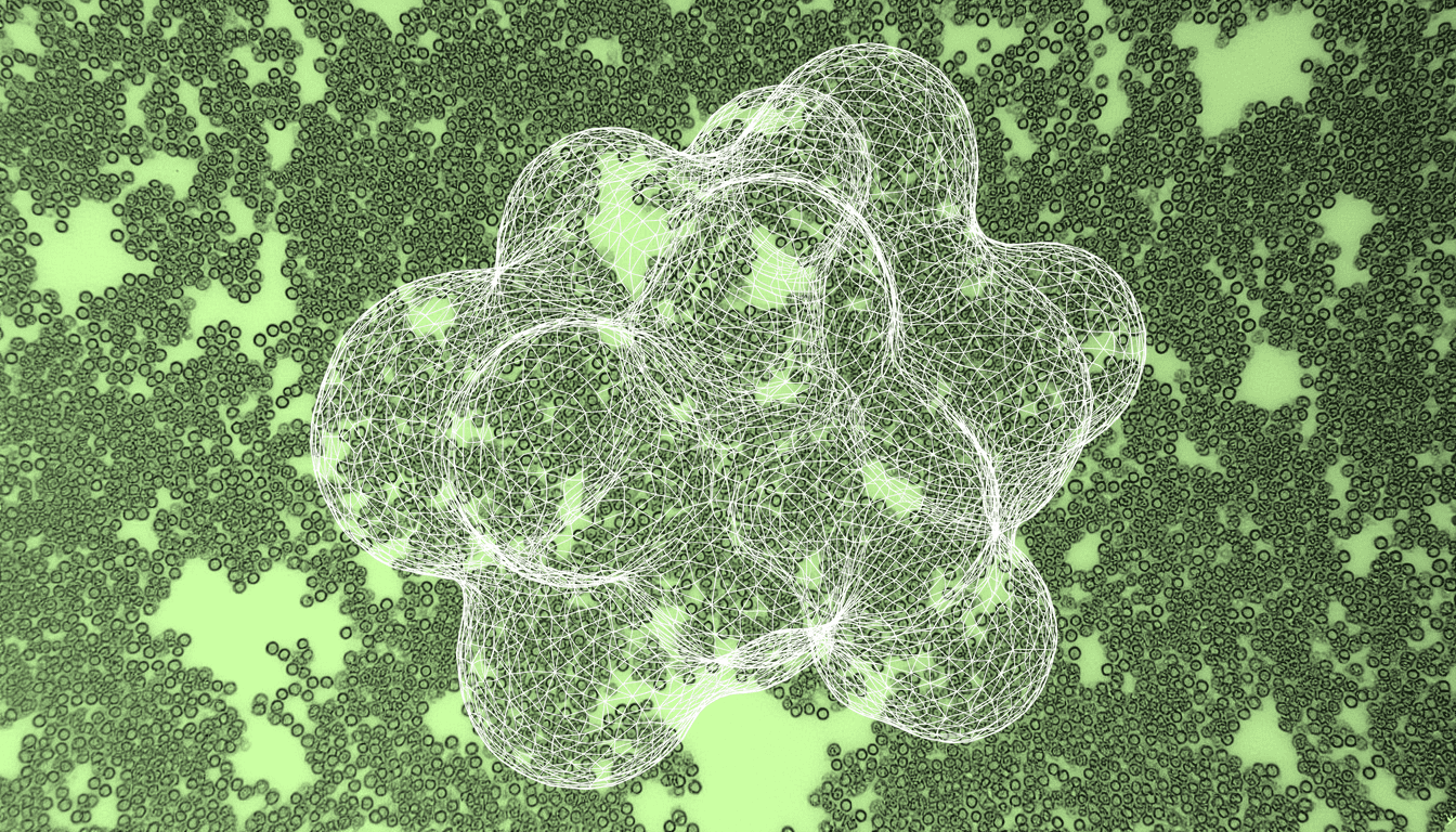 phase-contrast light micrograph of gut microbiota bacterial colonies, single-hue amber stain, transmitted illumination showing morphological diversity