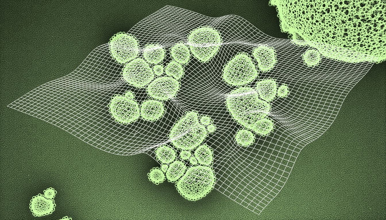 transmission electron micrograph of clustered HLA-B*58:01 molecular complexes, deep indigo stain, high-resolution membrane detail