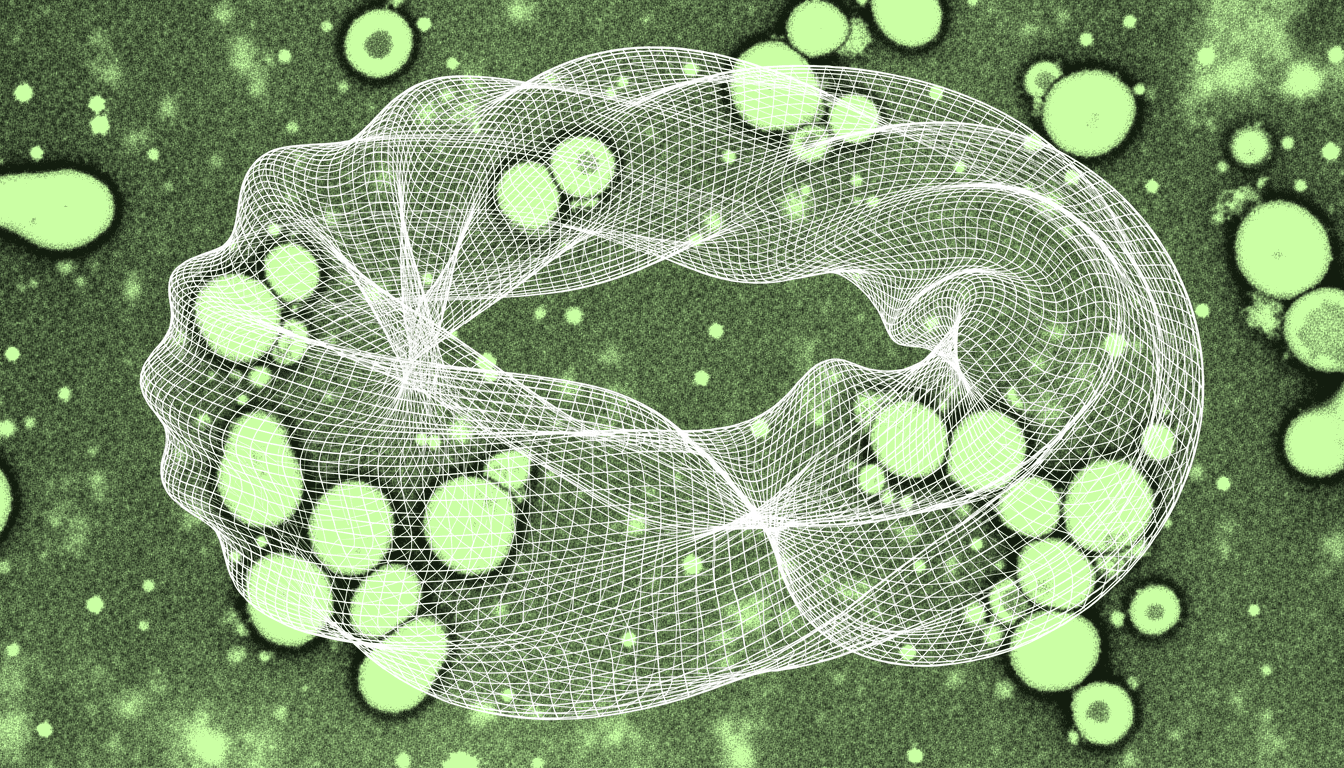 tissue stem cells undergoing selective apoptosis of damaged organelles, monochrome transmitted illumination, mitochondrial heterogeneity visible