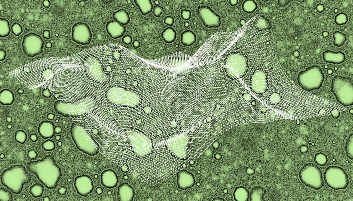 Trabecular bone lattice under mechanical unloading, single-hue blue-white stain, transmission electron micrograph, osteocyte network dissolution