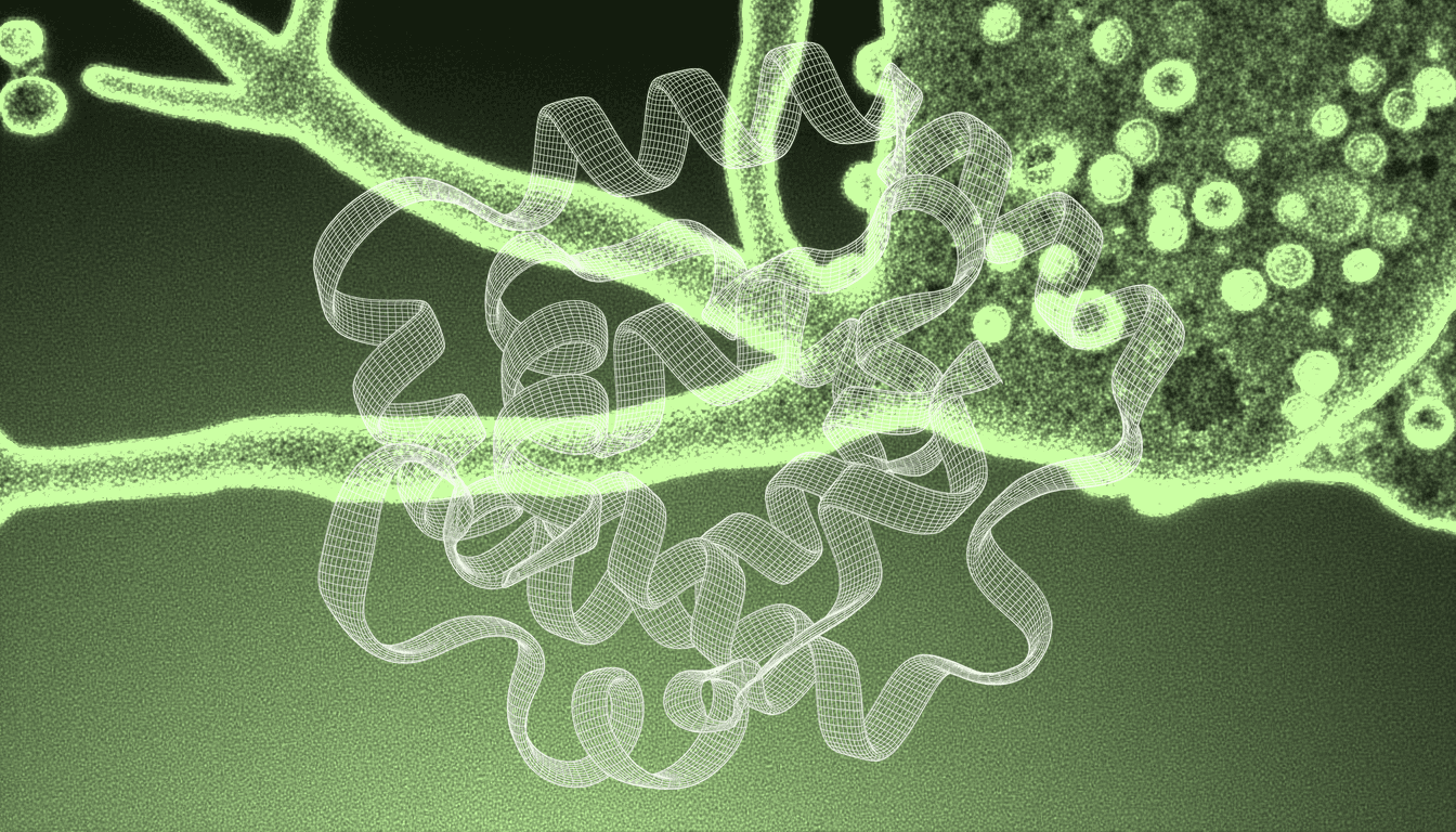 peptide disrupting α2δ-1 protein interaction in nerve tissue, monochrome blue transmission micrograph