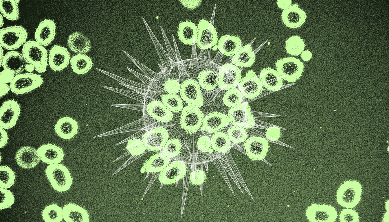 transmission electron micrograph of clustered immune cell nuclei, deep indigo stain, nuclear translocation of FOXO3 transcription factors