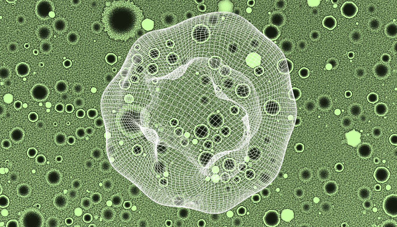 senescent cells undergoing redox collapse under thermal and sulfur amino acid restriction, monochrome phase-contrast micrograph, cytoplasmic granulation and membrane blebbing