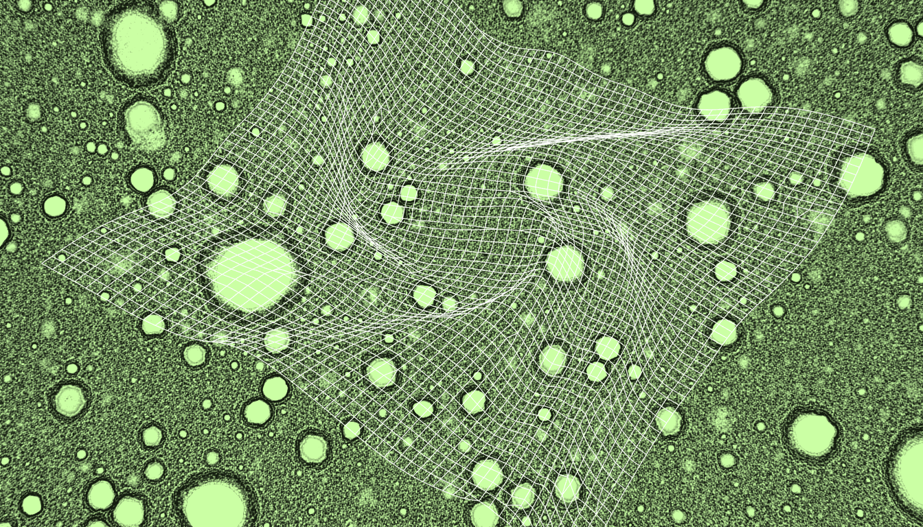 homomorphically encrypted kidney tissue microarray, single-hue indigo transmission micrograph, renal glomerular architecture