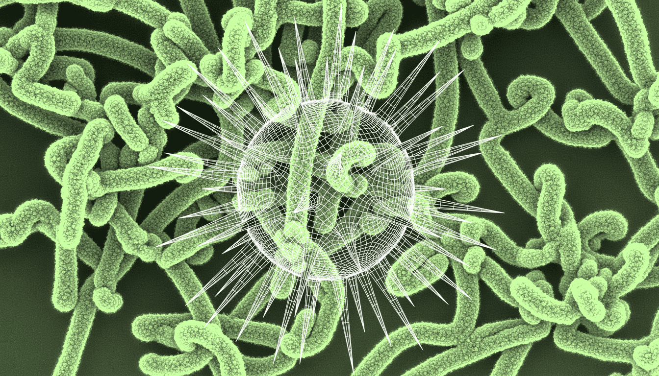 Senescent fibroblasts releasing oxidized mitochondrial DNA fragments via extracellular vesicles, single-hue amber transmission electron micrograph, high magnification