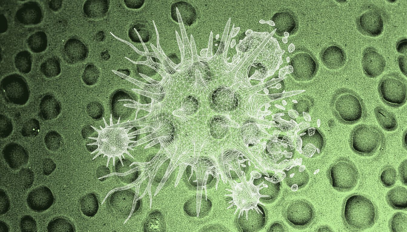 macro close-up of senescent decidual stromal cells, soft cellular texture, pale immunological surface, diffuse warm light