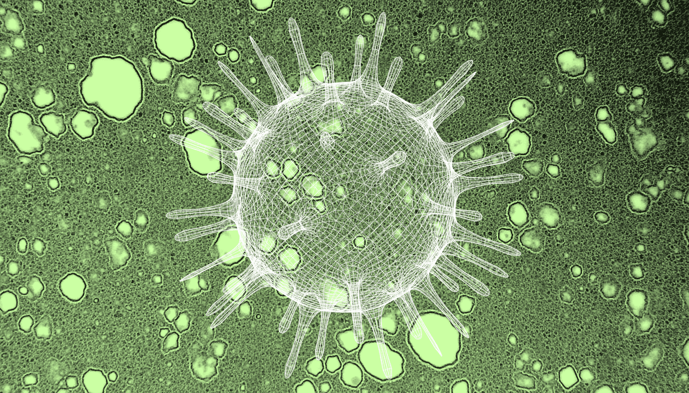 Isolated CD4+ T lymphocytes with transcriptomic and proteomic molecular signatures, single-hue transmitted light micrograph, cytoplasmic detail