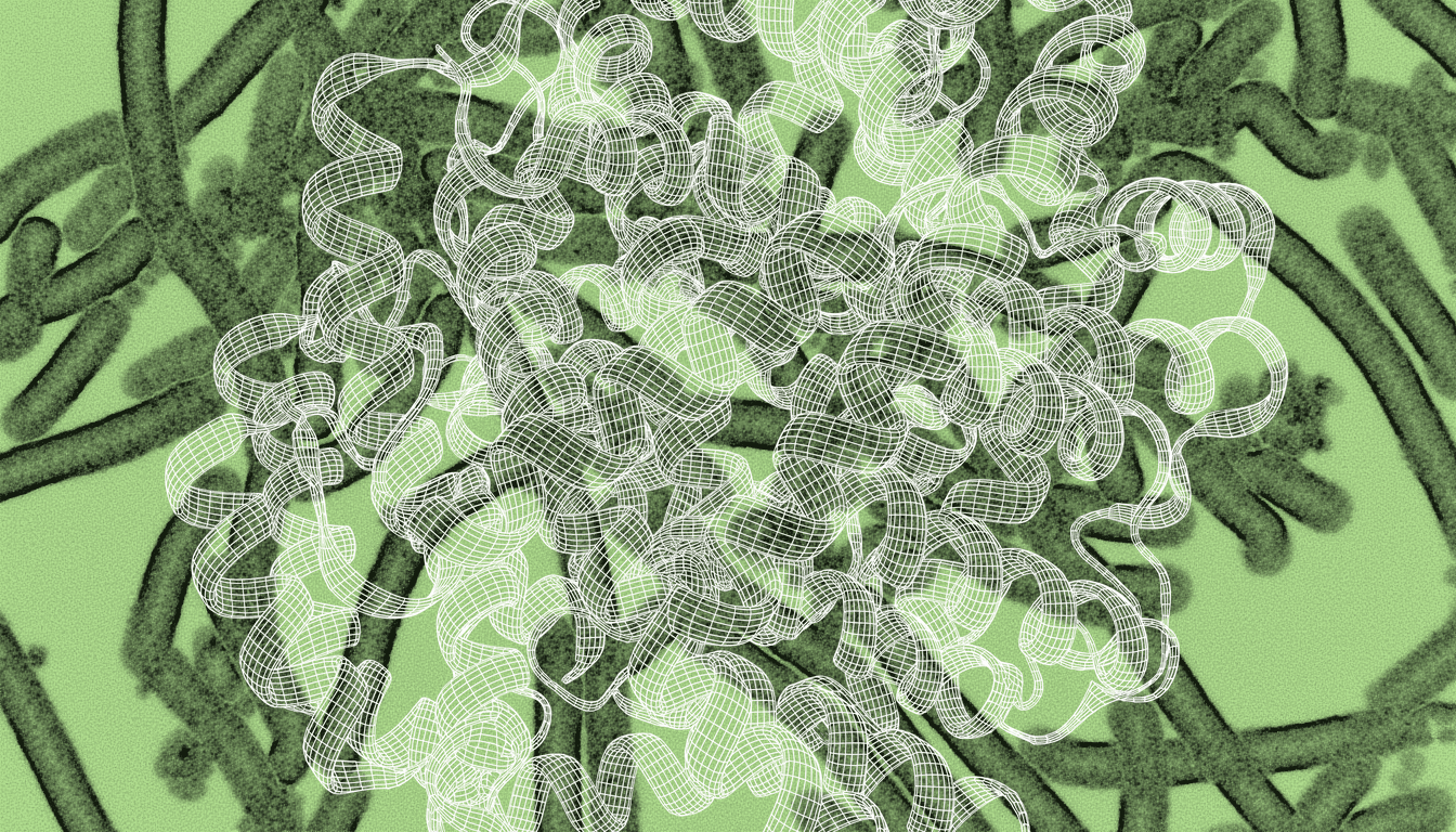 Collagen fibrils cross-linked by glucosepane, stained amber, high-magnification transmission electron micrograph showing rigid bundled protein architecture